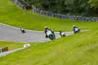 brands-hatch-photographs;brands-no-limits-trackday;cadwell-trackday-photographs;enduro-digital-images;event-digital-images;eventdigitalimages;no-limits-trackdays;peter-wileman-photography;racing-digital-images;trackday-digital-images;trackday-photos